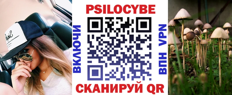 Псилоцибиновые грибы Psilocybine cubensis  Купить  Белореченск 